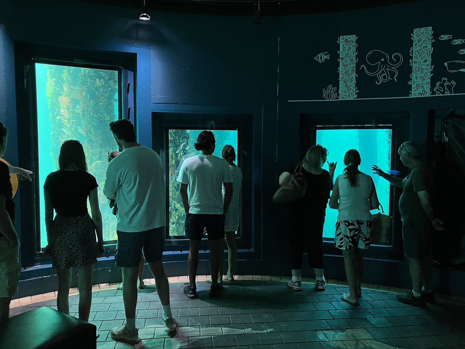 Visitors at the windows of the underwater observatory, February 2024